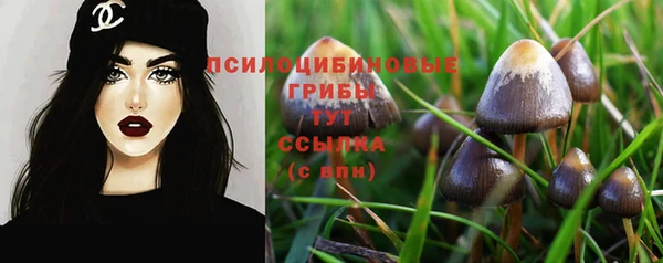 СК Пестово