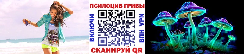 магазин Вилючинск omg маркетплейс Галлюциногенные грибы Psilocybe
